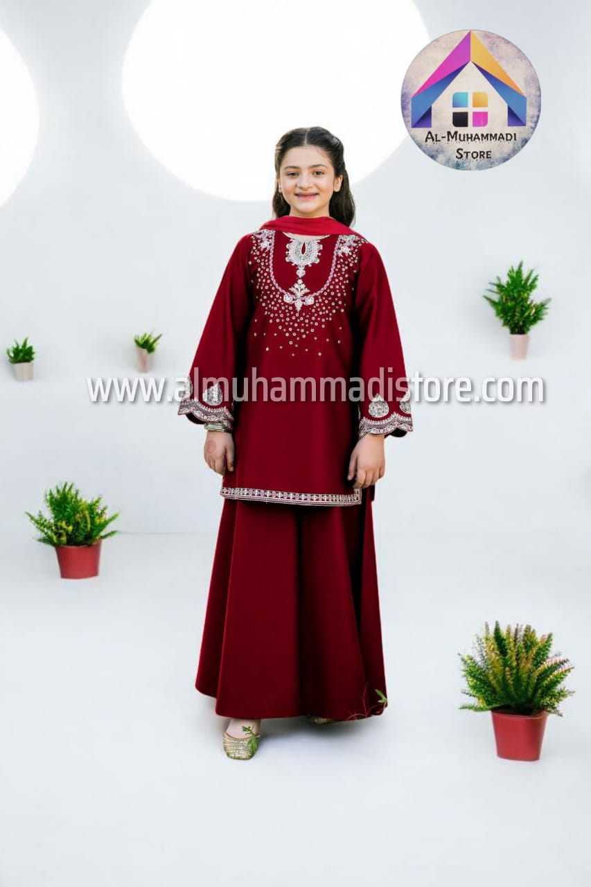 WhatsApp Image 2025-11-15 at 8.00.18 AM Cotton Kids Arrival – 2Pcs Embroidered Shirt With Plain Flapper - Image 1